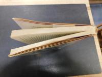 「日活アクションの華麗な世界　中 　1963-1967」