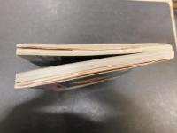 「フラッシュバックひろ子」　ありのままの輝き 「探偵物語」公開記念　薬師丸ひろ子写真集