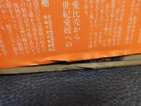 「愛媛県の百年」