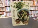 「山菜の味 」　＜山の味・里の味＞