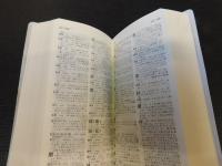 「精选日汉汉日词典　新版」