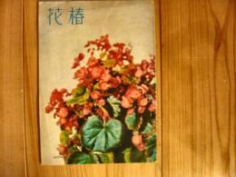 「花椿　1956年2月」