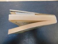 「聖帝五竜占術」