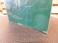 「日本の島ガイド　シマダス　２００７年　第２版４刷」