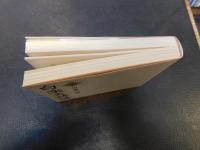 「白楽天詩選　下」