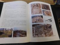 「正光寺山古墳群　発掘調査概要報告書」　愛媛県新居浜市