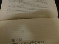 「恋も仕事も思いのまま　上」
