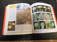 「レッドデータプランツ 　絶滅危惧植物図鑑」