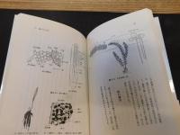 「根」物語 　 地下からのメッセージ