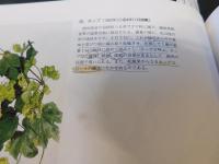 「小磯良平の描いた　薬用植物画」　