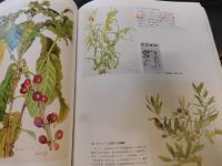 「小磯良平の描いた　薬用植物画」　