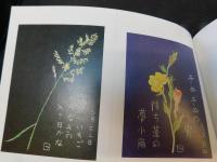 「続々　絵葉書集」