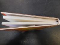 「管理者は組織の太陽」　 大集団活性化への記録