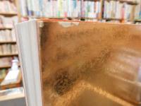 「コロンビア大黄金展図録」　 黄金郷伝説の秘密　ORO COLOMBIANO