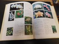 「朝日園芸植物事典」