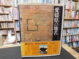 「愛媛県の地名」　日本歴史地名大系　３９