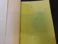 「ユー・ガッタ春菊」