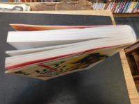 「アウトロー女優の挽歌」　スケバン映画とその時代