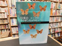 「日本のウラギンヒョウモン」