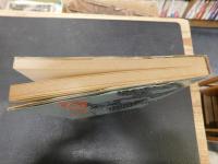 「阿波おどり実記」