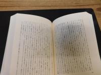 「征服の修辞学」　 ヨーロッパとカリブ海先住民,1492-1797年