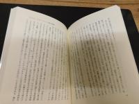 「小説亡国論」