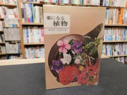 「薬になる植物」