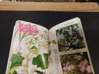 「薬になる植物」