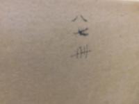 「世界歴史大系　第十巻　東洋史　８　中央アジア史　印度史　完」