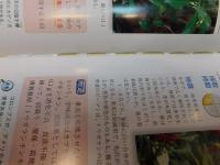 「用途で引ける　愛媛の薬用植物図鑑」　