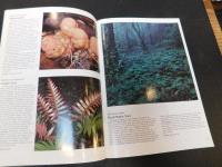 「AUSTRALIAN  RainforestT Plants 3」　