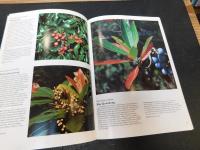 「AUSTRALIAN  RainforestT Plants  2」　