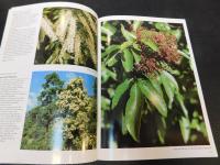 「AUSTRALIAN  RainforestT Plants」　: