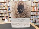 「聖なるもの」