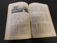 「中国ビジネス徹底研究」　平成6年7月号臨時増刊