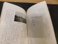 「阿波の城」