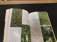 「愛媛の人里の植物」