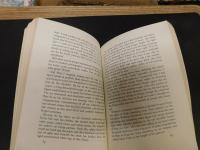 「The blood oranges」