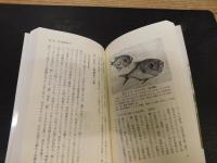 「伊予灘漁民誌」