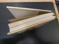 「夫・手塚治虫とともに」　木洩れ日に生きる