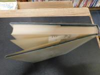 「組織行動の一般理論」　組織サイバネティクス研究