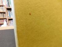 「日本自然地名辞典」