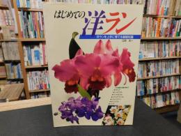 「はじめての洋ラン」