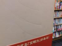 「国民の文明史」