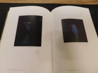 図録　「加山又造の世界」　いよてつそごう開催分