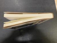 「聖徳太子の虚像」　道後来湯説の真実　