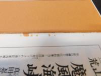 「戯作者　滝沢馬琴　天保謎解き帳」　長編時代推理