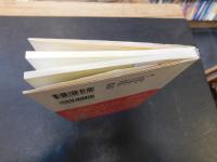 「珍国際のトラブル・ガイド・イン・パリ」