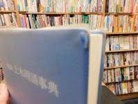 「図説　土木用語事典　　２００４年　２５刷」