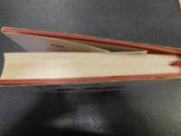 「青春の日だまり」　わたしの映画・テレビ熱中記